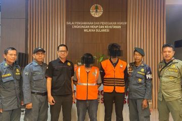 Gakkum KLHK Sulawesi bekuk pelaku perdagangan satwa dilindungi