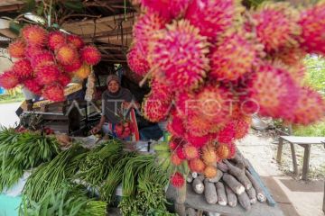Realisasi pembiayaan ultramikro di Jambi