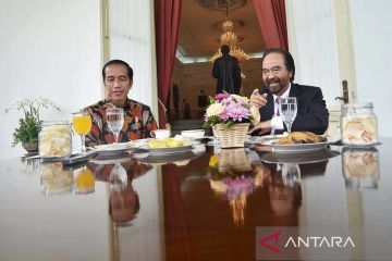 Pengamat: Pertemuan Jokowi-Surya Paloh sebatas jaga komunikasi