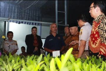 Bunga anggrek asal Malang tembus pasar Taiwan