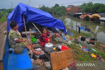 Pengungsi banjir di jalur Pantura Demak dipindahkan secara persuasif