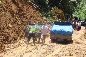 Longsor, jalur lintas Liwa-Krui Lampung ditutup untuk kendaraan besar