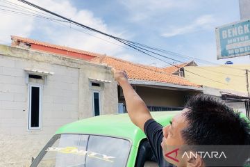 Seorang warga Kota Bogor tewas disengat tawon