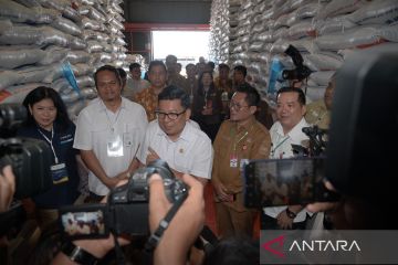 Pemerintah lalukan intervensi pasar seimbangkan harga pangan