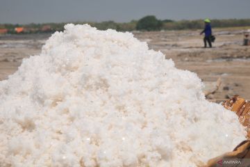 Bleduk Kuwu, asinnya garam dari perut bumi
