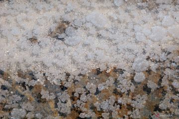 Bleduk Kuwu, asinnya garam dari perut bumi