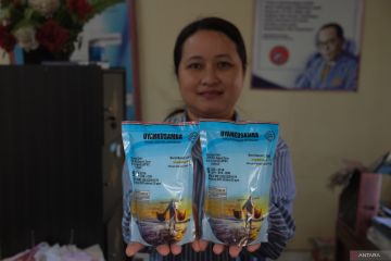 Mengenal garam kusamba, dibuat tradisional dikonsumsi internasional