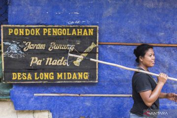 Garam gunung Krayan kesukaan Raja Brunei