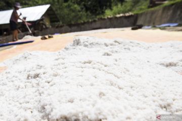 Garam gunung Krayan kesukaan Raja Brunei