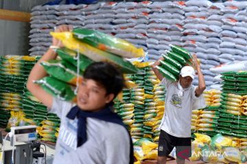 Stok beras Bulog di Bali