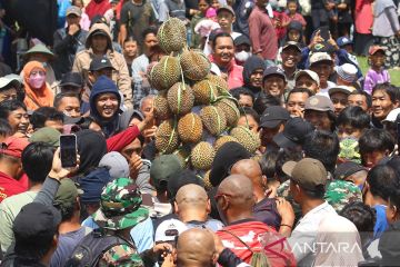 Warga berebut durian gratis pada pesta panen raya Jamboren