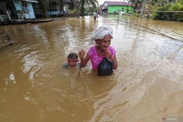 Sempat surut, banjir kembali rendam kawasan Sungai Batanghari di Muaro Jambi