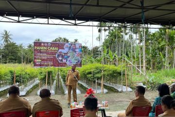 Pemkab Jayapura harap warga budi daya cabai cegah inflasi