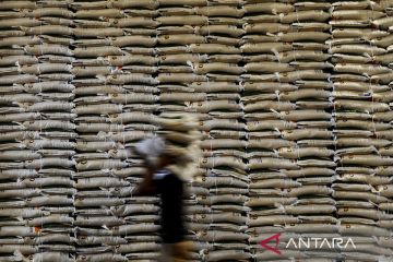 Pemerintah akan impor beras tambahan untuk mengisi stok CBP