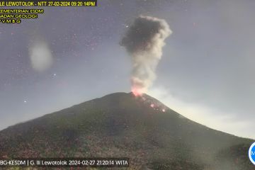 Abu vulkanik membumbung setinggi 1 kilometer di Gunung Ili Lewotolok