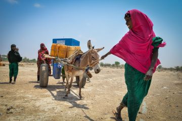 PBB umumkan 17 juta dolar untuk bantuan kekeringan di Ethiopia utara