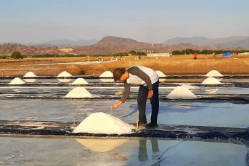 Produksi garam nasional 2023 melampaui target