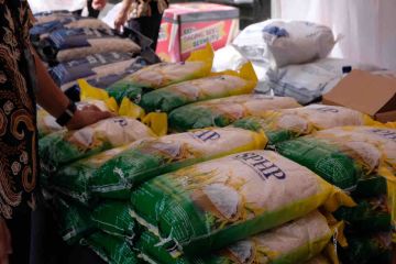 Dirut Bulog: Harga beras premium mulai stabil jelang Ramadhan