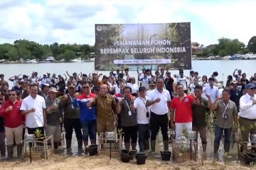 Cegah abrasi di Nusa Pudut, KLHK tanam 1.550 mangrove