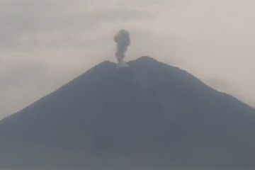 Gunung Semeru Lontarkan abu vulkanik setinggi 1300 meter