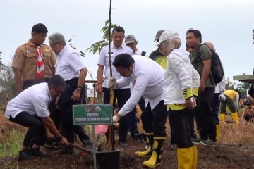 Peringati hari lahan basah sedunia Kalsel tanam 3000 batang pohon
