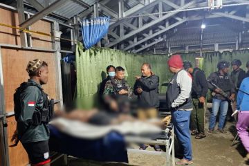 Bakar puskesmas di Papua Tengah, anggota KKB ditangkap