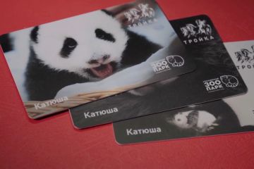 Kebun Binatang Moskow terbitkan kartu perjalanan anak panda raksasa