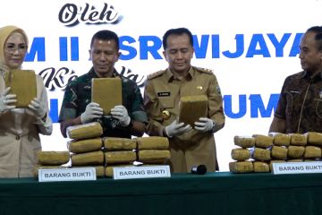 Kodam II Sriwijaya serahkan 26,164 kg ganja ke BNNP Sumsel