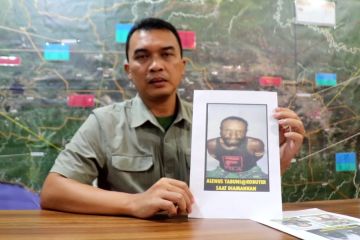 Polisi tangkap 1 DPO KKB di Puncak, Papua Tengah