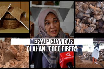 Meraup cuan dari olahan "coco fiber"