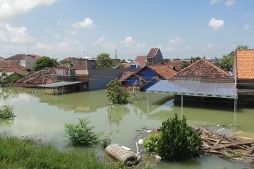 BPBD Jateng lakukan sejumlah skenario tangani banjir Demak