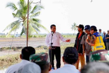 Mentan dorong peningkatan produksi pangan lahan rawa di Sumsel