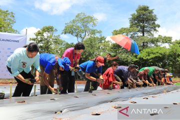 Citi Indonesia dan Plan Indonesia terapkan program Youth-Led Agri-Food