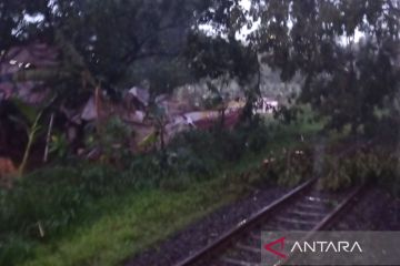 Pohon tumbang di Kebayoran Lama hambat perjalanan KRL Rangkasbitung