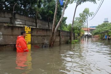 47 warga Rawa Terate mengungsi akibat banjir