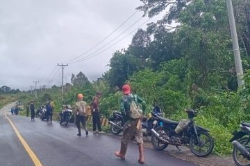 PLN nyalakan listrik desa perbatasan RI-Malaysia di Kapuas Hulu Maret