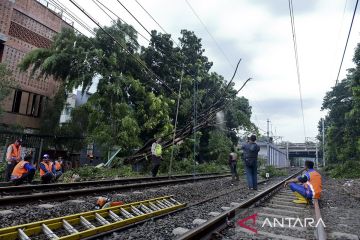 Sudin Pertamanan masih tangani pohon tumbang hambat perjalanan KRL