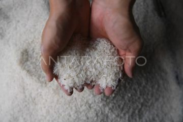 DKI Kemarin, harga beras turun hingga DLH dirikan satgas Ciliwung