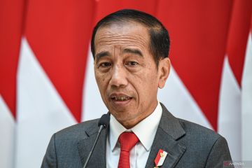 Gerbang Pronas apresiasi konsistensi Presiden Jokowi bela Palestina