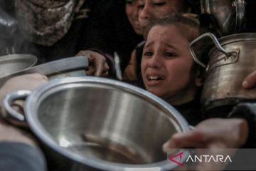 Italia inisiasi "Makanan untuk Gaza" beri bantuan warga Palestina