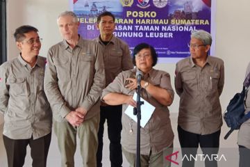 KLHK lepasliarkan dua ekor Harimau Sumatera ke TNGL