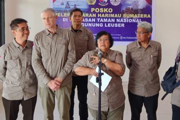Menteri LHK sebut ada lebih seribu ekor harimau sumatra di Sumatera