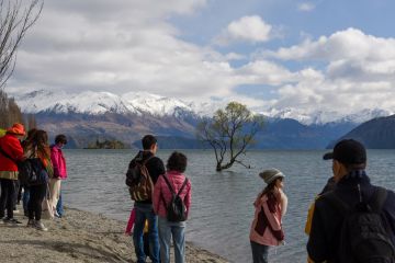 Pariwisata Selandia Baru tunjukkan pemulihan berkelanjutan