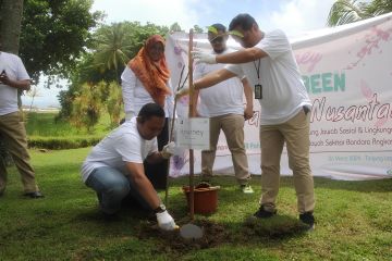 AP II tanam 15 ribu pohon Tabebuya di Tanjung Lesung Banten