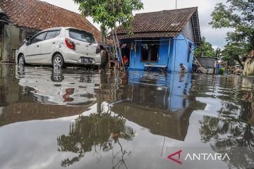 109 rumah di Lebak tergenang banjir akibat luapan Sungai Ciwaru