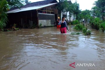 Ratusan rumah terendam banjir di Jember, satu orang terluka