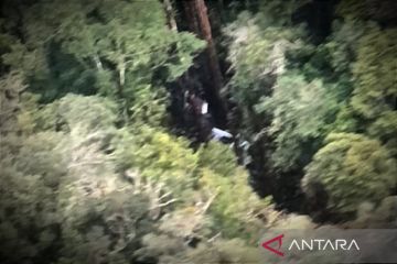 Seorang korban pesawat Smart Aviation yang jatuh ditemukan selamat