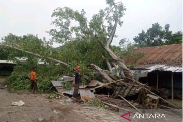Lima kecamatan di Lombok Barat diterjang angin puting beliung