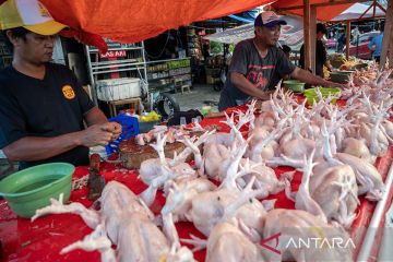 Kenaikan temporer harga daging ayam dan sapi