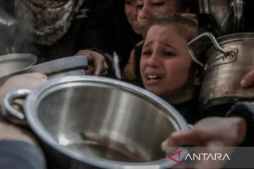 Al Wasliyah Sumut buka donasi  bagi Palestina selama Ramadhan